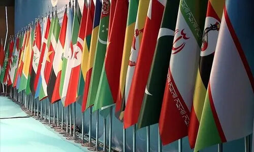 هشدار سازمان همکاری اسلامی نسبت به هرگونه همکاری با کوچ اجباری فلسطینیان
