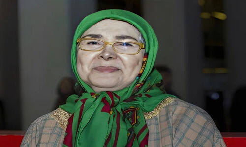 بیوگرافی آفرین عبیسی( بازیگر قبل از انقلاب) از گذشته تا امروز؛ رازهای زندگی و عکس‌های قبل و بعد از عمل هنرمند محبوب سینما+ عکس کودکی
