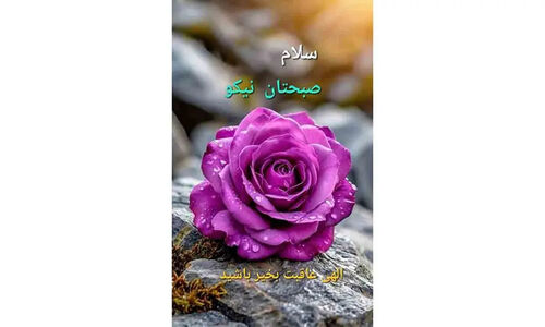 فال حافظ| 22 دی