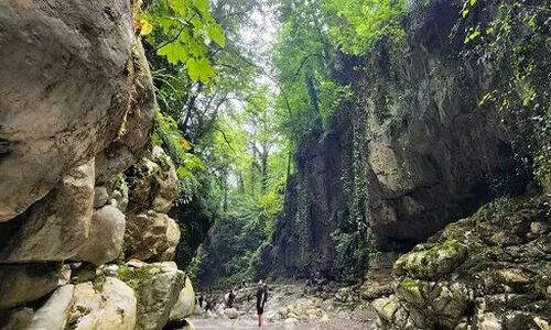 پیک‌نیک| تفریح در 4 تنگه آمازونی نزدیک تهران؛ مقصدی عالی برای طبیعت‌ گردی