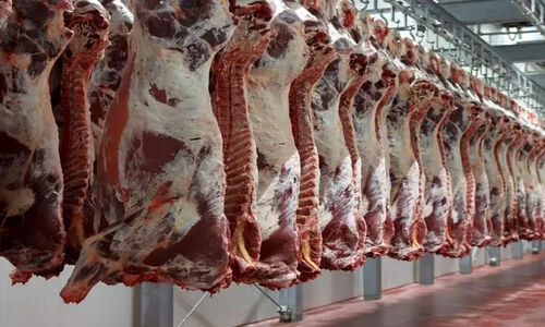 قیمت گوشت امروز 12 بهمن؛ بازهم افزایش قیمت