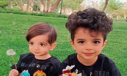 ویدئو/نگاهی به چیدمان منزل شاهانه و مجلل مهدیار کلائی سالارِ  سریال«پایتخت» / از مبلمان سلطنتی و مدرن و حیاط سرسبز شمال تا تابلوهای هنری و پرده‌های اعیانی+ تصاویر