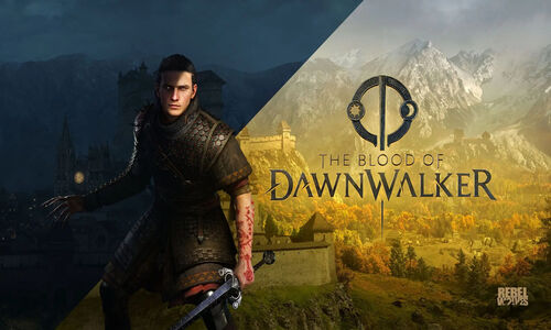 The Blood of Dawnwalker با نرخ ۶۰ فریم اجرا نمی‌شود