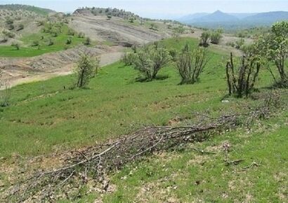زمین‌خواری عجیب در منطقه شمیرانات به‌قیمت ۱۵میلیون تومان