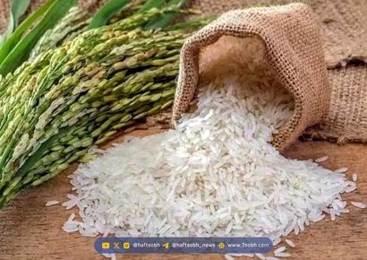 خطر پنهان «برنج گرم شده»: چرا گرم کردن مجدد برنج خطرناک است؟