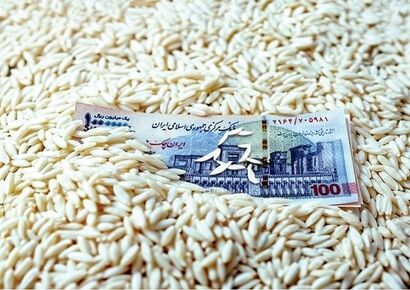 قیمت برنج، ترمز برید/ روش جدید دلالان برای گران‌فروشی